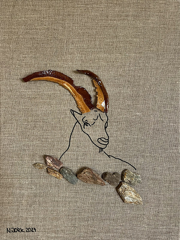 Steinbock2