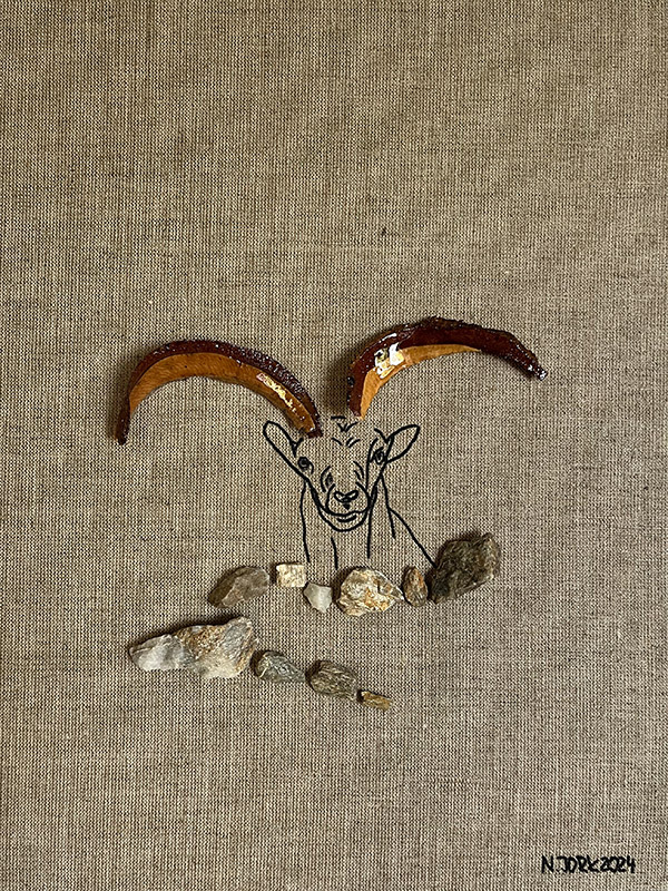 Steinbock4