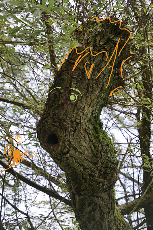 Wunschbaum